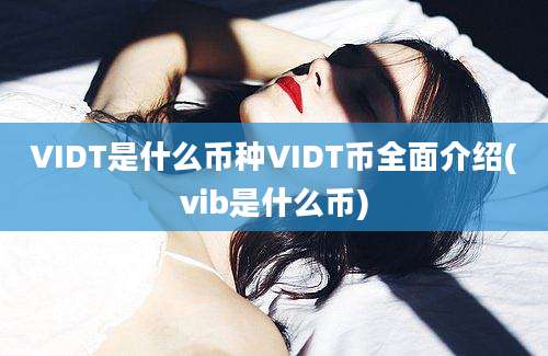 VIDT是什么币种VIDT币全面介绍(vib是什么币)