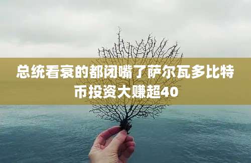 总统看衰的都闭嘴了萨尔瓦多比特币投资大赚超40