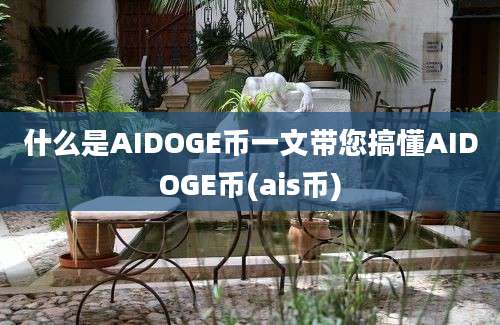 什么是AIDOGE币一文带您搞懂AIDOGE币(ais币)