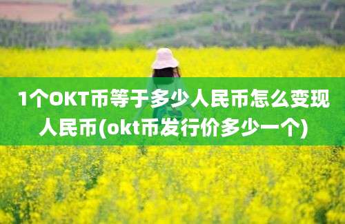 1个OKT币等于多少人民币怎么变现人民币(okt币发行价多少一个)