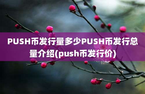 PUSH币发行量多少PUSH币发行总量介绍(push币发行价)