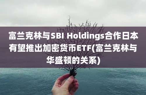 富兰克林与SBI Holdings合作日本有望推出加密货币ETF(富兰克林与华盛顿的关系)