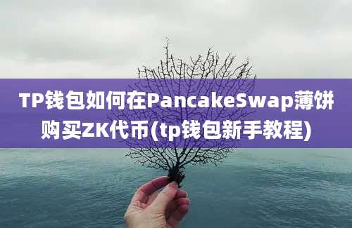 TP钱包如何在PancakeSwap薄饼购买ZK代币(tp钱包新手教程)