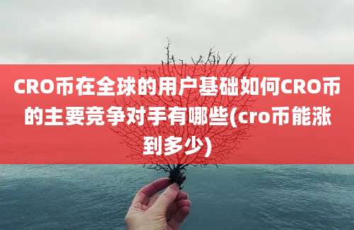 CRO币在全球的用户基础如何CRO币的主要竞争对手有哪些(cro币能涨到多少)