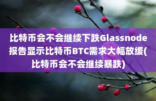 比特币会不会继续下跌Glassnode报告显示比特币BTC需求大幅放缓(比特币会不会继续暴跌)