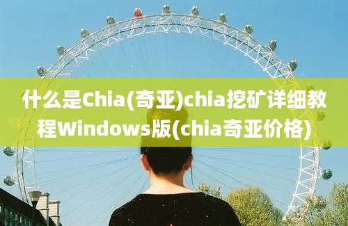 什么是Chia(奇亚)chia挖矿详细教程Windows版(chia奇亚价格)