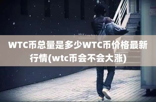 WTC币总量是多少WTC币价格最新行情(wtc币会不会大涨)