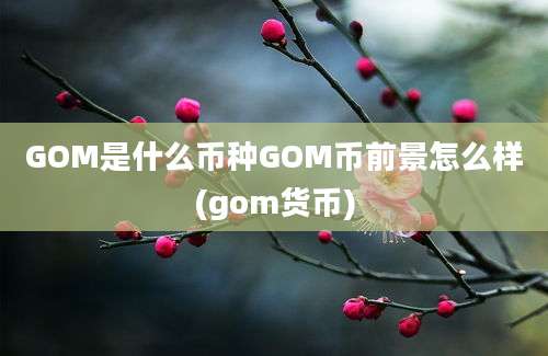 GOM是什么币种GOM币前景怎么样(gom货币)