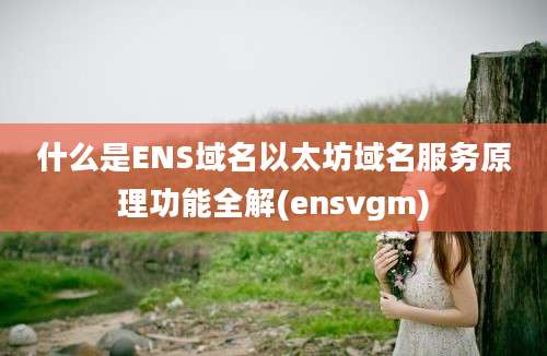 什么是ENS域名以太坊域名服务原理功能全解(ensvgm)