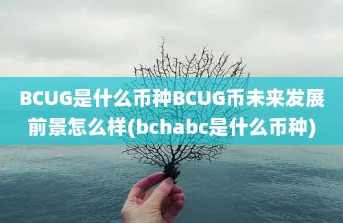 BCUG是什么币种BCUG币未来发展前景怎么样(bchabc是什么币种)