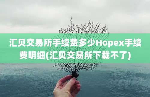 汇贝交易所手续费多少Hopex手续费明细(汇贝交易所下载不了)