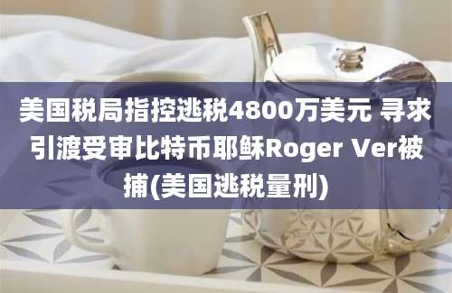 美国税局指控逃税4800万美元 寻求引渡受审比特币耶稣Roger Ver被捕(美国逃税量刑)