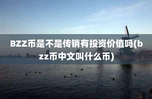 BZZ币是不是传销有投资价值吗(bzz币中文叫什么币)