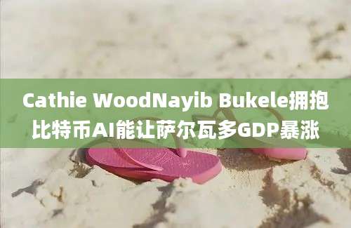 Cathie WoodNayib Bukele拥抱比特币AI能让萨尔瓦多GDP暴涨