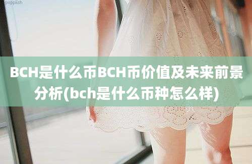 BCH是什么币BCH币价值及未来前景分析(bch是什么币种怎么样)