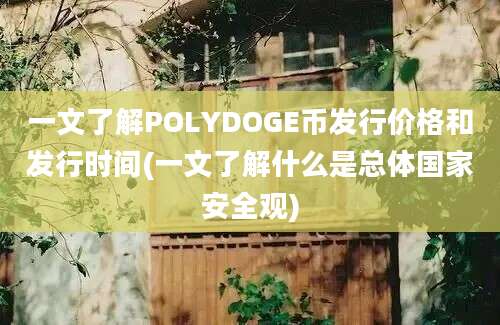 一文了解POLYDOGE币发行价格和发行时间(一文了解什么是总体国家安全观)