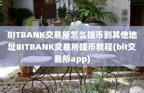 BITBANK交易所怎么提币到其他地址BITBANK交易所提币教程(bit交易所app)