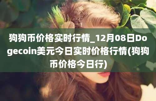 狗狗币价格实时行情_12月08日Dogecoin美元今日实时价格行情(狗狗币价格今日行)