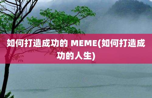 如何打造成功的 MEME(如何打造成功的人生)