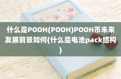 什么是POOH(POOH)POOH币未来发展前景如何(什么是电池pack结构)