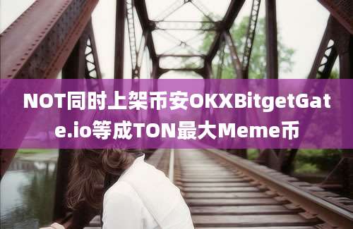 NOT同时上架币安OKXBitgetGate.io等成TON最大Meme币