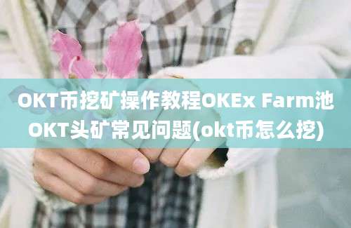 OKT币挖矿操作教程OKEx Farm池OKT头矿常见问题(okt币怎么挖)