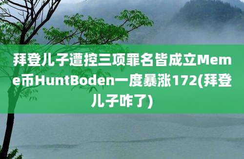 拜登儿子遭控三项罪名皆成立Meme币HuntBoden一度暴涨172(拜登儿子咋了)