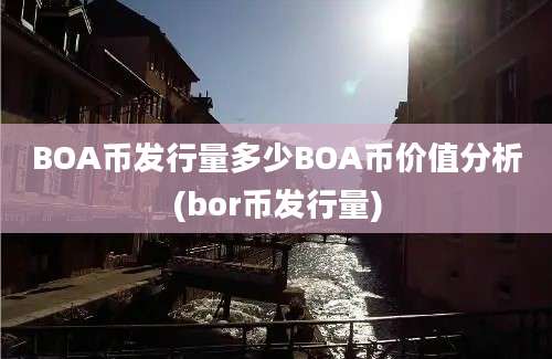 BOA币发行量多少BOA币价值分析(bor币发行量)