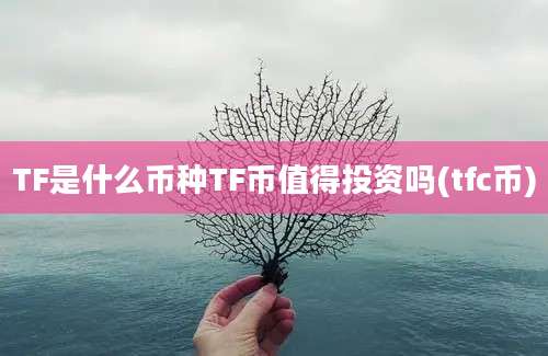 TF是什么币种TF币值得投资吗(tfc币)