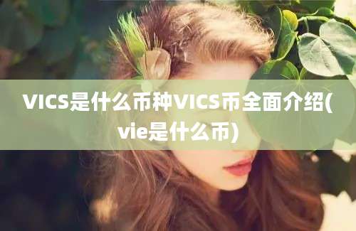 VICS是什么币种VICS币全面介绍(vie是什么币)