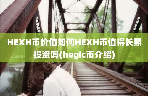 HEXH币价值如何HEXH币值得长期投资吗(hegic币介绍)