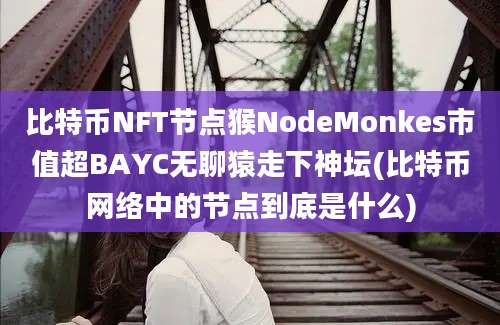 比特币NFT节点猴NodeMonkes市值超BAYC无聊猿走下神坛(比特币网络中的节点到底是什么)