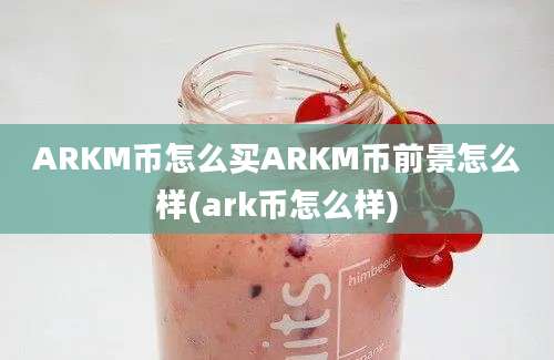 ARKM币怎么买ARKM币前景怎么样(ark币怎么样)