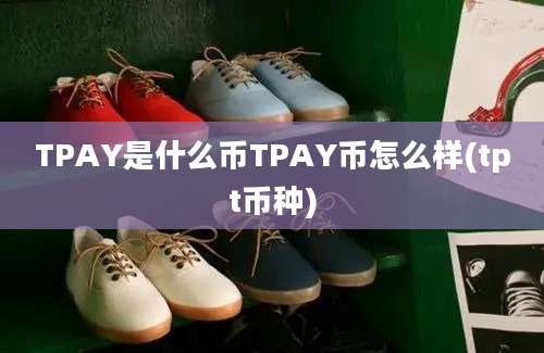 TPAY是什么币TPAY币怎么样(tpt币种)