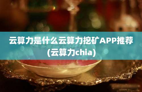 云算力是什么云算力挖矿APP推荐(云算力chia)