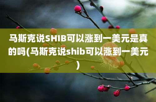 马斯克说SHIB可以涨到一美元是真的吗(马斯克说shib可以涨到一美元)