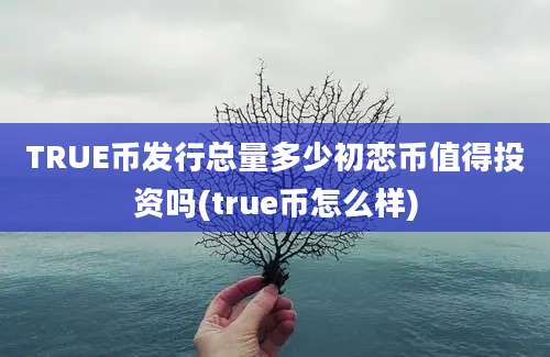 TRUE币发行总量多少初恋币值得投资吗(true币怎么样)