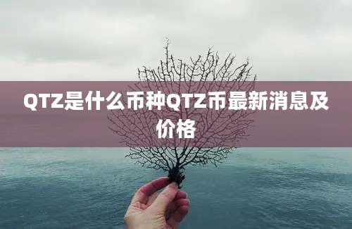 QTZ是什么币种QTZ币最新消息及价格