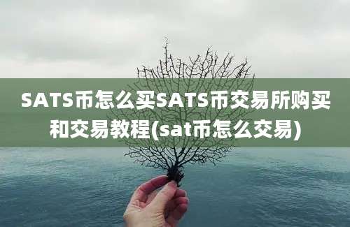 SATS币怎么买SATS币交易所购买和交易教程(sat币怎么交易)