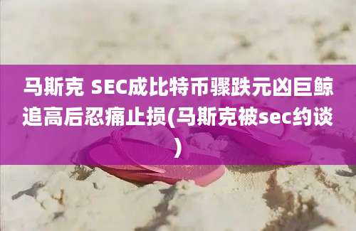 马斯克 SEC成比特币骤跌元凶巨鲸追高后忍痛止损(马斯克被sec约谈)