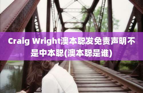 Craig Wright澳本聪发免责声明不是中本聪(澳本聪是谁)