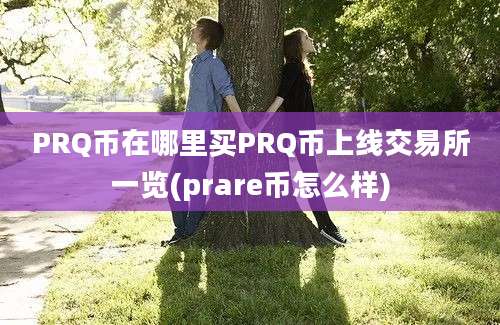 PRQ币在哪里买PRQ币上线交易所一览(prare币怎么样)