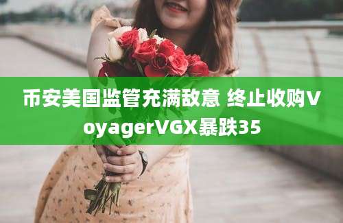 币安美国监管充满敌意 终止收购VoyagerVGX暴跌35