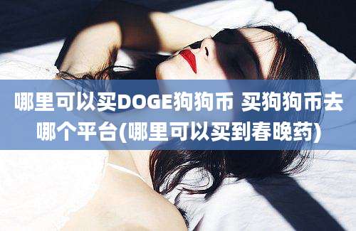 哪里可以买DOGE狗狗币 买狗狗币去哪个平台(哪里可以买到春晚药)