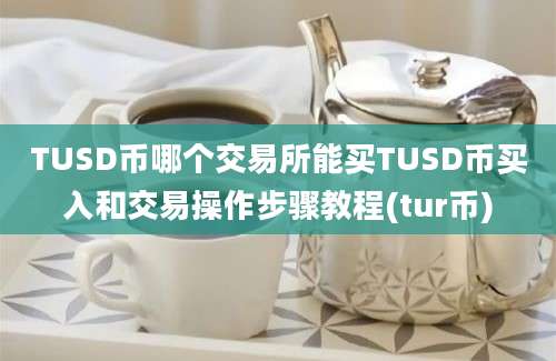 TUSD币哪个交易所能买TUSD币买入和交易操作步骤教程(tur币)