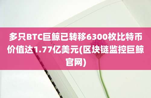 多只BTC巨鲸已转移6300枚比特币价值达1.77亿美元(区块链监控巨鲸官网)