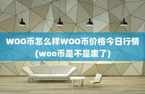 WOO币怎么样WOO币价格今日行情(woo币是不是废了)