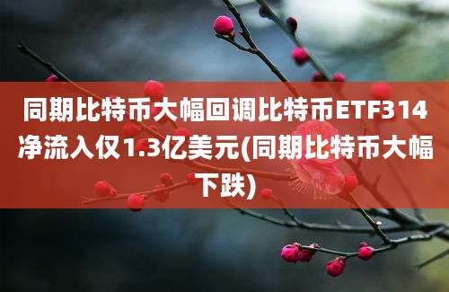 同期比特币大幅回调比特币ETF314净流入仅1.3亿美元(同期比特币大幅下跌)