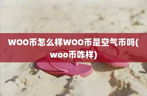 WOO币怎么样WOO币是空气币吗(woo币咋样)