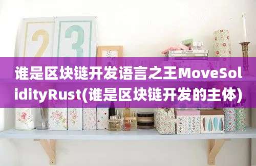 谁是区块链开发语言之王MoveSolidityRust(谁是区块链开发的主体)